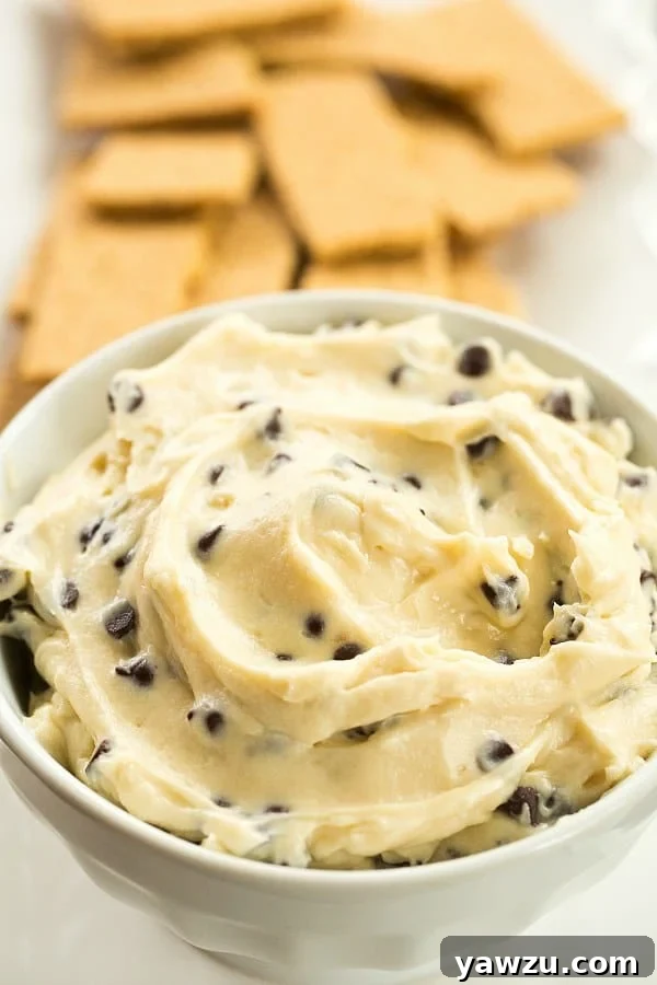 Delightful Chocolate Chip Cookie Dough Dip: A sweet, creamy, and safe treat that captures all the nostalgia of raw cookie dough without any raw eggs. Perfect for parties and easy to make!