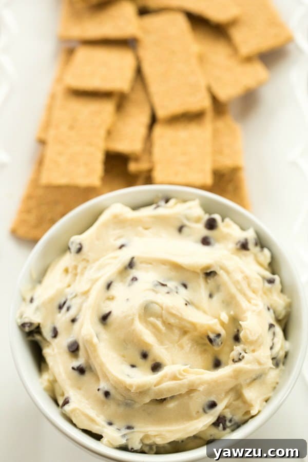 Close-up of creamy chocolate chip cookie dough dip in a serving bowl, ready to be enjoyed with dippers.