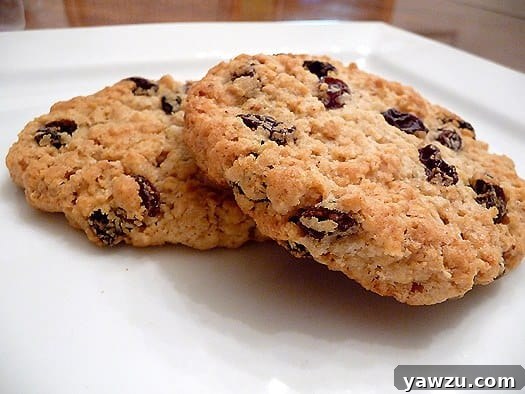 2 oatmeal raisin cookies on a white plate.