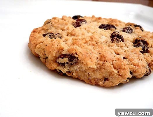Oatmeal raisin cookie on a white plate.