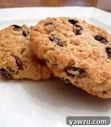 2 oatmeal raisin cookies on a white plate.