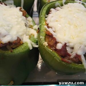 A top-down view of a single Italian stuffed pepper, garnished with fresh herbs and ready to eat.