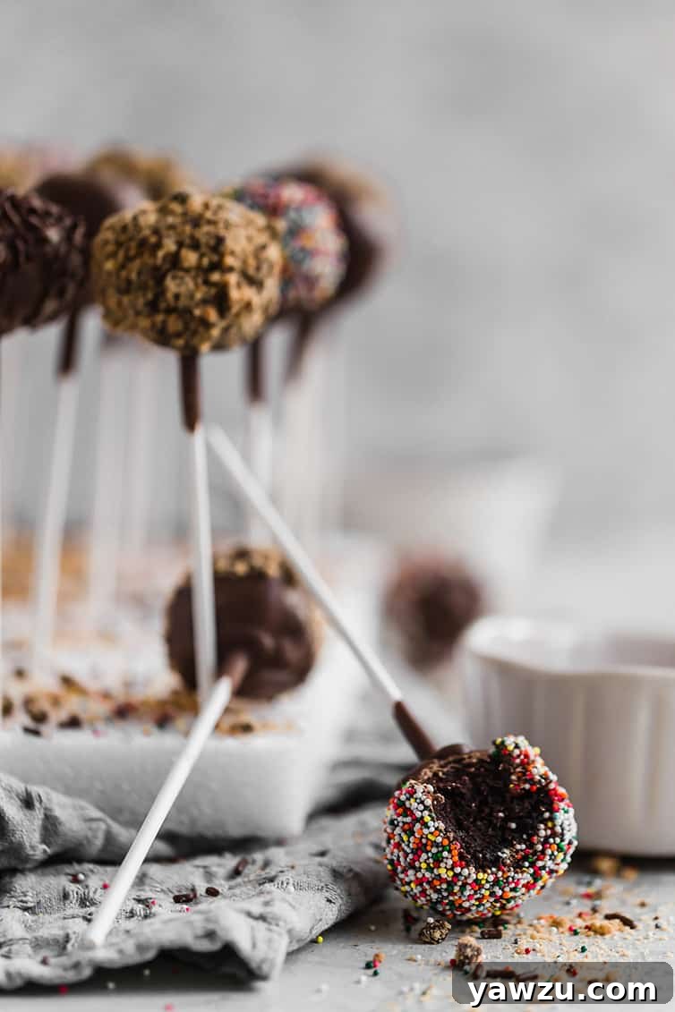 A chocolate cake pop with a bite taken out on the counter, its stick pointing upwards, with a block of more chocolate cake pops behind it, ready to be enjoyed.