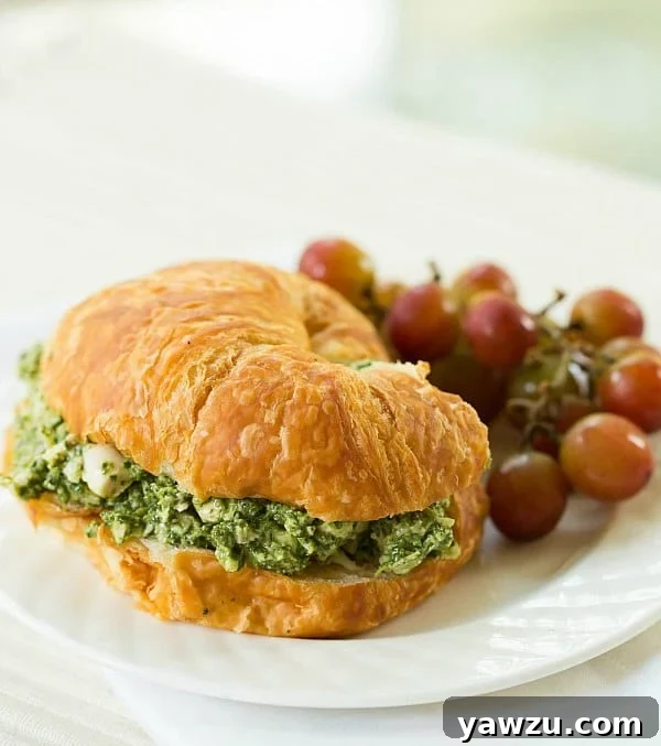 A close-up shot of Pesto Chicken Salad by Brown Eyed Baker, showcasing the creamy, green pesto dressing mixed with shredded chicken and hints of spinach.