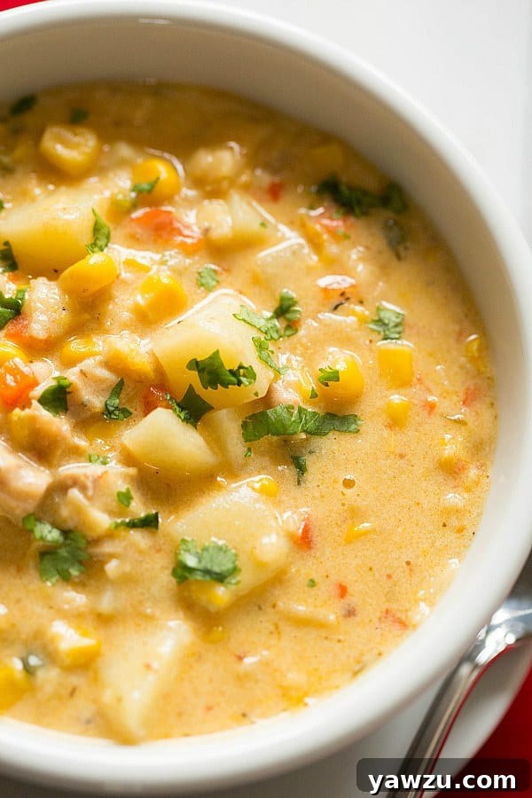 A rich and creamy bowl of Chipotle Chicken and Corn Chowder, garnished with fresh herbs, hinting at its spicy and hearty nature.