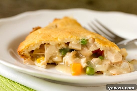A golden-brown quick and easy chicken pot pie, showcasing its flaky crust, baked to perfection.