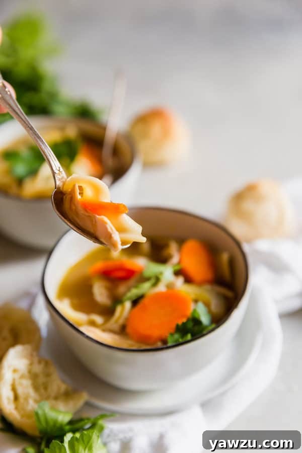 A close-up of a spoon lifting a generous portion of homemade chicken noodle soup, showcasing tender chicken pieces, vibrant carrot slices, and comforting egg noodles in a clear, savory broth.