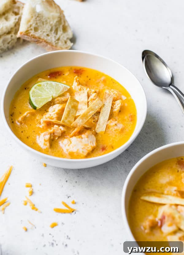 A rustic bowl of creamy chicken tortilla soup, garnished with tortilla strips and fresh herbs, with bread and spoons blurred in the background, suggesting a cozy meal.