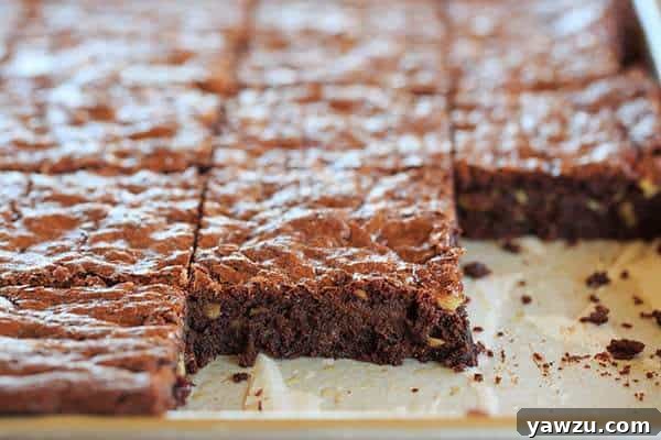 A large batch of Ina Garten's Outrageous Brownies with walnuts