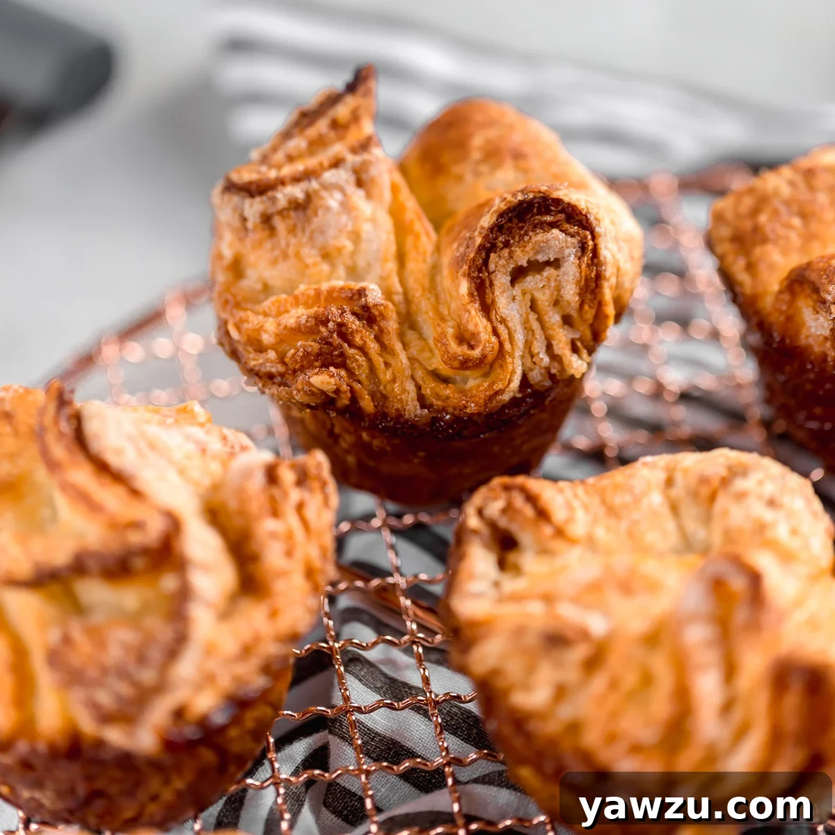 Exquisite golden brown Kouign-Amann pastries, glistening with caramelized sugar, ready to be enjoyed.