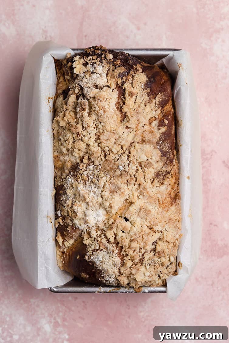 An overhead view of a freshly baked chocolate babka loaf, golden brown and glistening with a streusel topping, just out of the oven.
