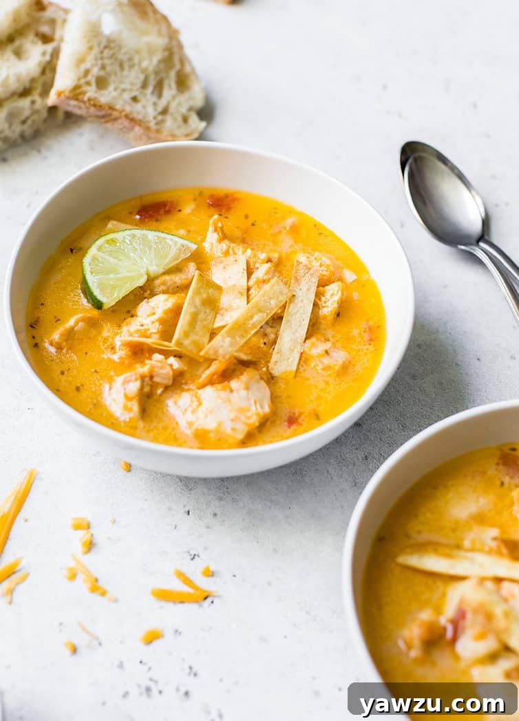 A hearty bowl of creamy chicken tortilla soup, garnished with crispy tortilla strips and fresh cilantro.