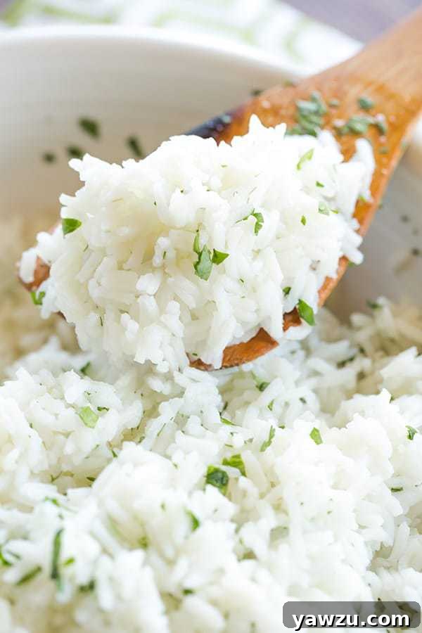 A fluffy and vibrant bowl of Copycat Chipotle Cilantro-Lime Rice, a perfect side dish for any Mexican meal.