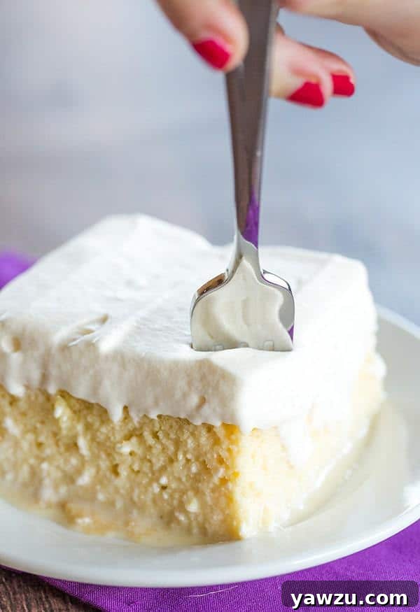 A classic Tres Leches Cake, showcasing its moist texture and topped with a generous amount of sweet whipped cream.