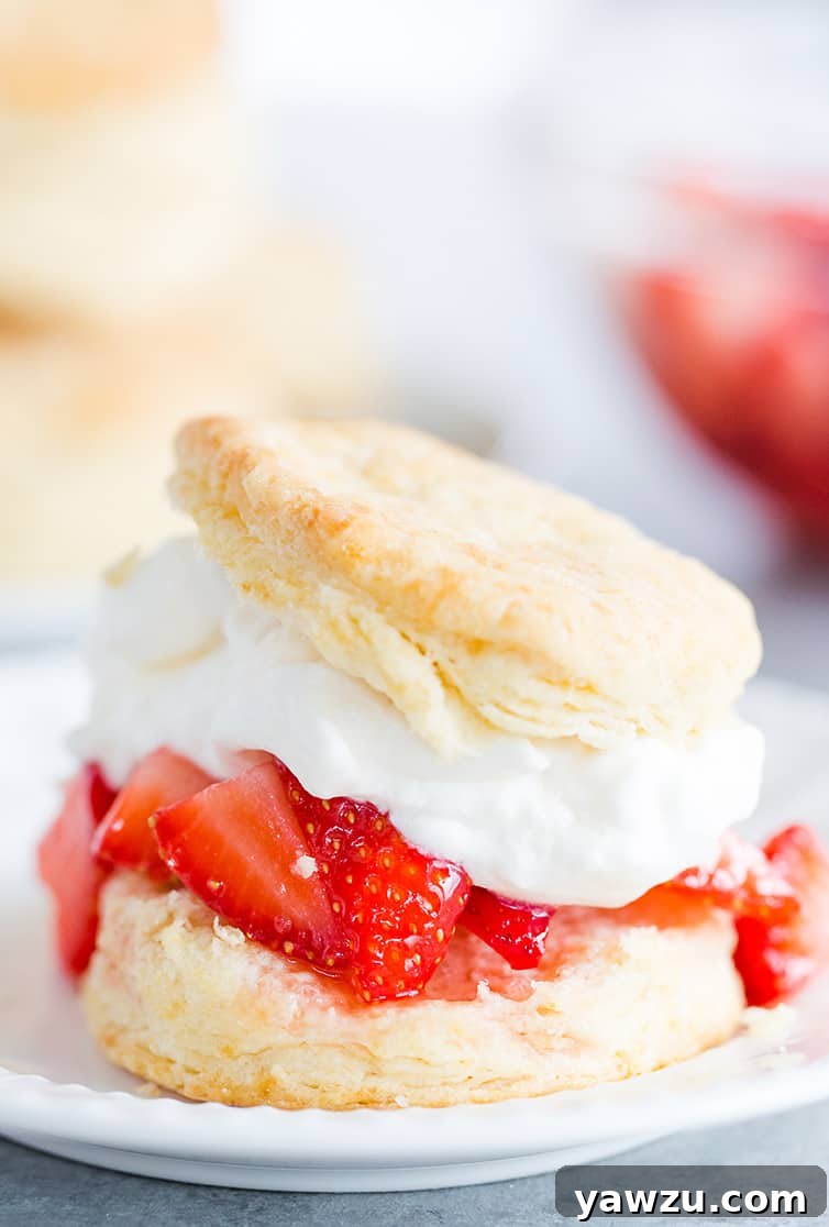 An exquisitely assembled strawberry shortcake featuring a golden biscuit, fresh red strawberries, and generous dollops of whipped cream.