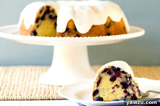 A beautifully baked Blueberry-Lemon Buttermilk Bundt Cake, light and refreshing.