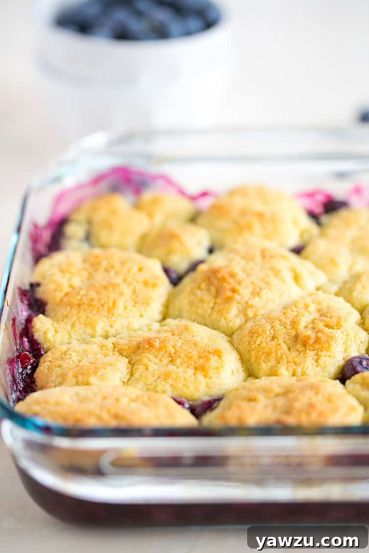 Warm, baked blueberry cobbler in a glass pan, with a bowl of fresh blueberries in the soft-focus background.