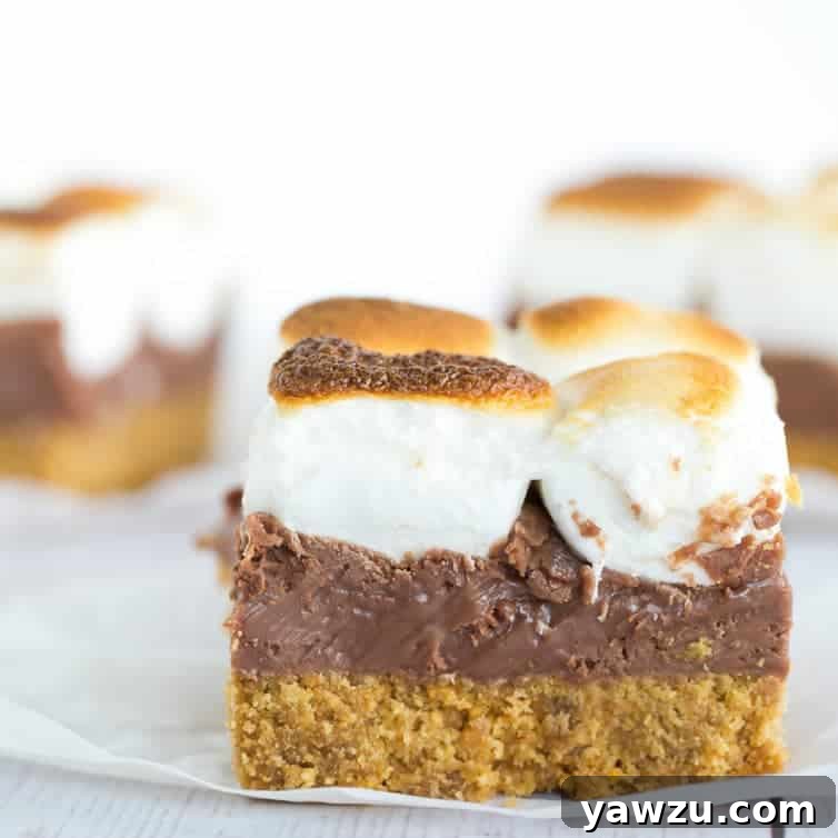 Gooey S'mores Bars with toasted marshmallows, chocolate, and graham cracker base.