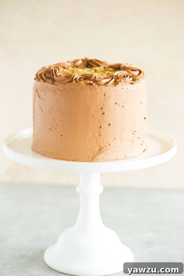 A captivating straight-on view of the chocolate cake, showcasing its perfect layers and rich frosting on a white cake platter.