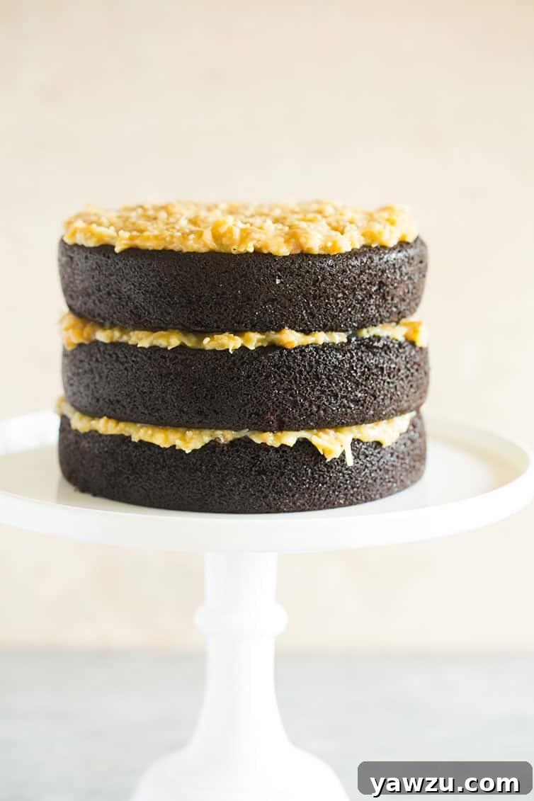 Close-up of three exquisite layers of chocolate cake, generously filled with the irresistible coconut-pecan frosting.