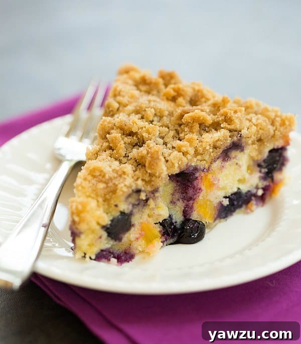A beautifully baked Blueberry-Peach Coffee Cake, topped with a delicious crumb, photographed to highlight its golden-brown texture and fruity appeal.