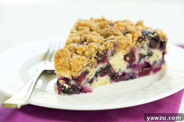 A classic Blueberry Buckle cake, showcasing its crumbly topping and an inviting slice, featured in a 'Top 10 List: Favorite Cake Recipes' compilation.