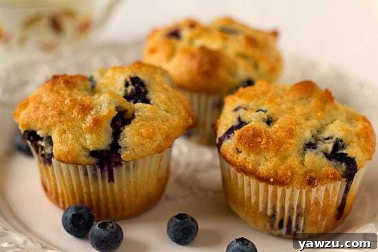 Fluffy, golden-baked blueberry muffins with a generous amount of blueberries, presented to entice breakfast and snack lovers.