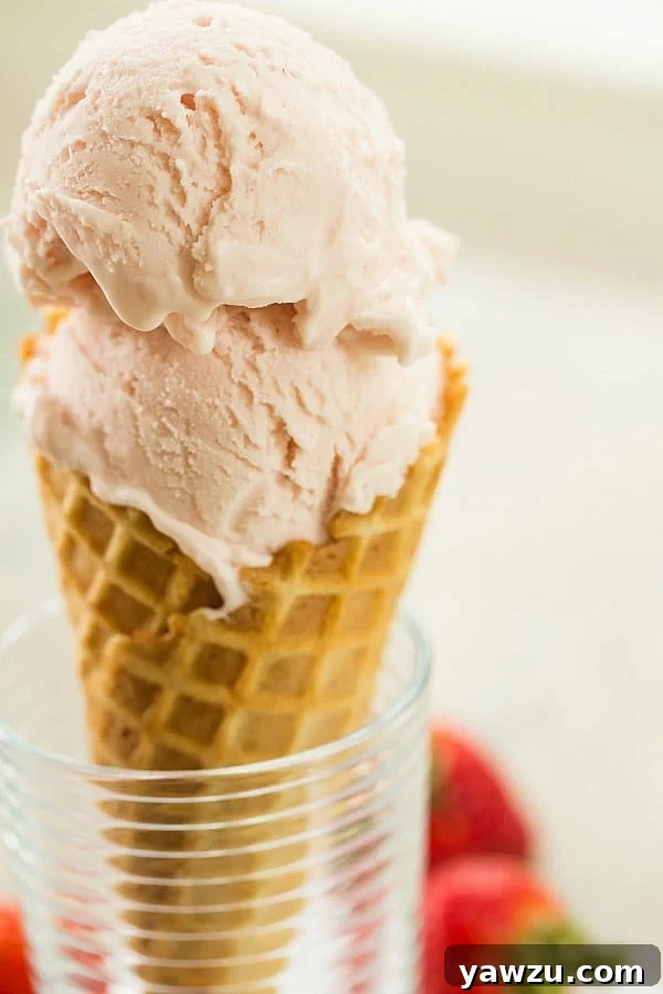 A scoop of rich Roasted Strawberry & Buttermilk Ice Cream, captured enticingly to showcase its creamy texture and vibrant color, with a #recipe tag.