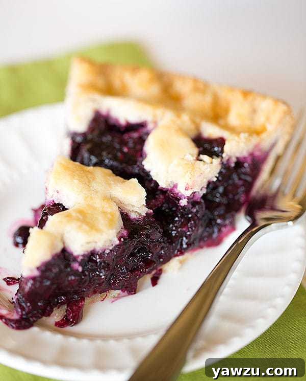A freshly baked, golden-crusted Blueberry Pie, showcasing its rich, deep blue filling, captured with a 'BEST Blueberry Pie' caption for culinary enthusiasts.