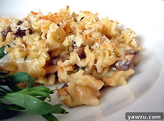 Delicious mushroom herb macaroni and cheese on a white plate, garnished with fresh herbs.