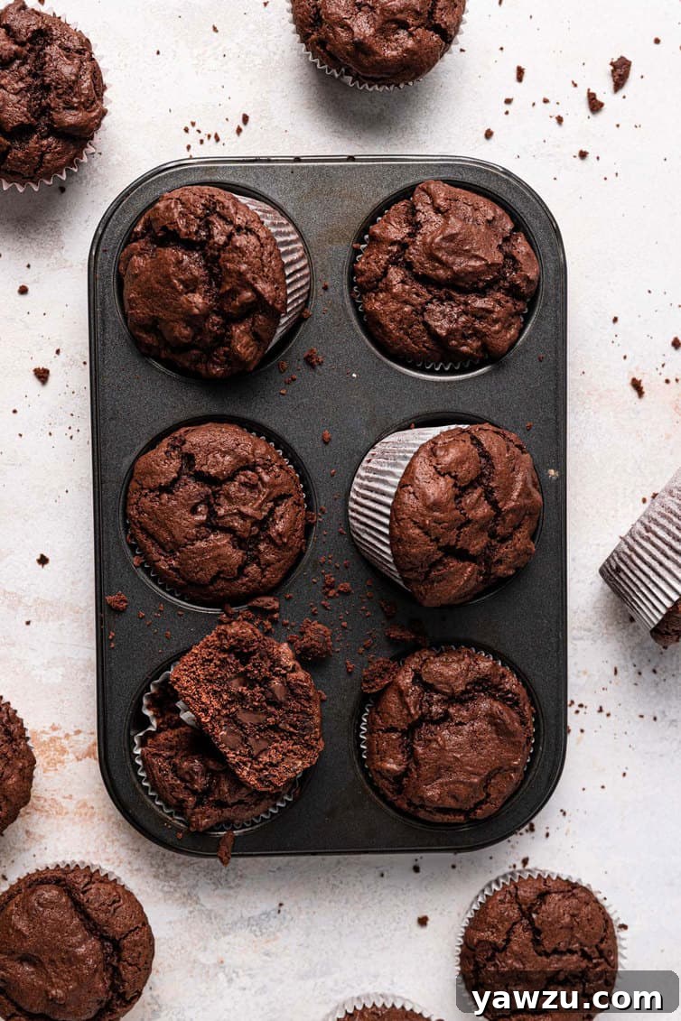 Overhead photo of rich, dark chocolate muffins neatly arranged in a silver muffin tin, ready to be enjoyed.