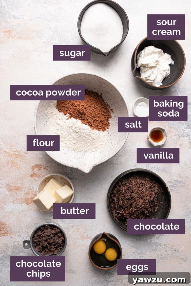 A collection of fresh ingredients for chocolate muffins, including flour, cocoa powder, butter, eggs, sugar, sour cream, and various types of chocolate, neatly prepped and labeled on a white surface.