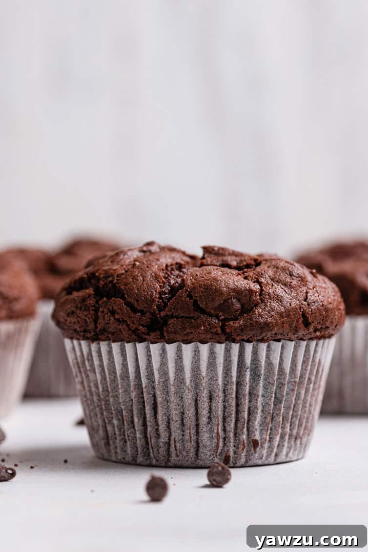 A single, perfectly baked, rich chocolate muffin stands alone against a white background, showcasing its moist texture and inviting dome top.