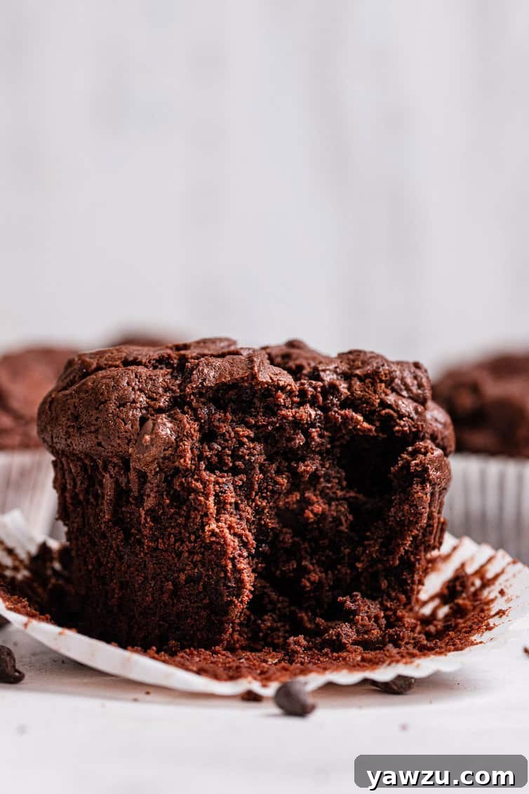 A perfectly baked chocolate muffin with a large bite taken out of it, revealing its moist, dense interior packed with chocolate chips.