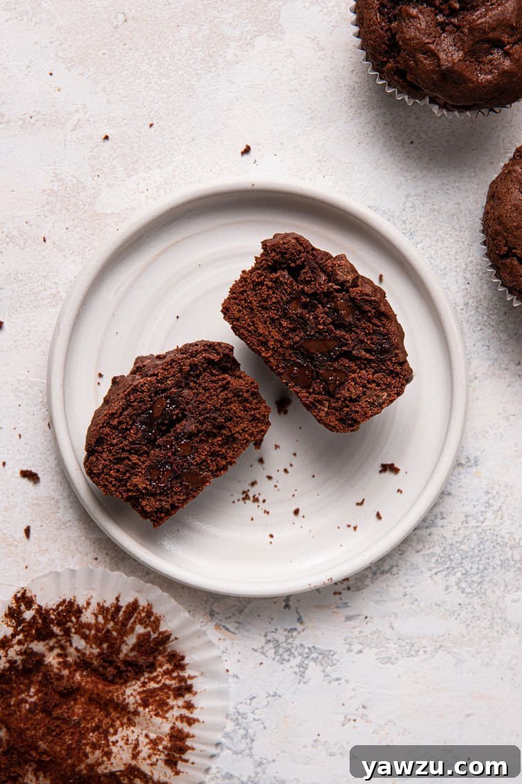 A chocolate muffin meticulously cut in half on a pristine white plate, showcasing its rich, dark crumb and numerous melty chocolate chips.