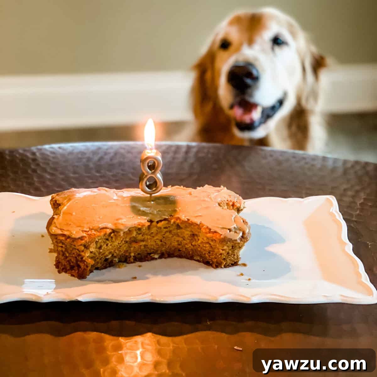 A delicious homemade dog birthday cake with peanut butter and carrot.