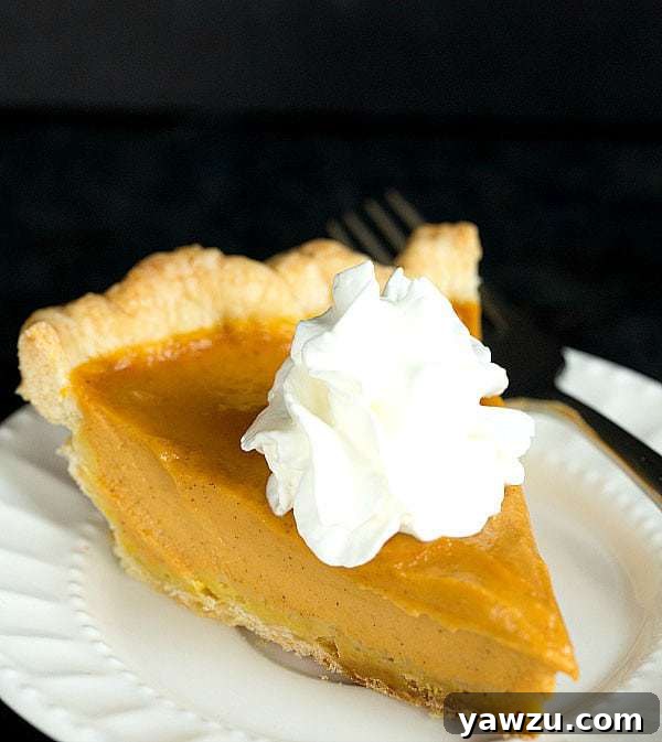 Top 10 Best Pie & Tart Recipes :: Pumpkin Pie | browneyedbaker.com