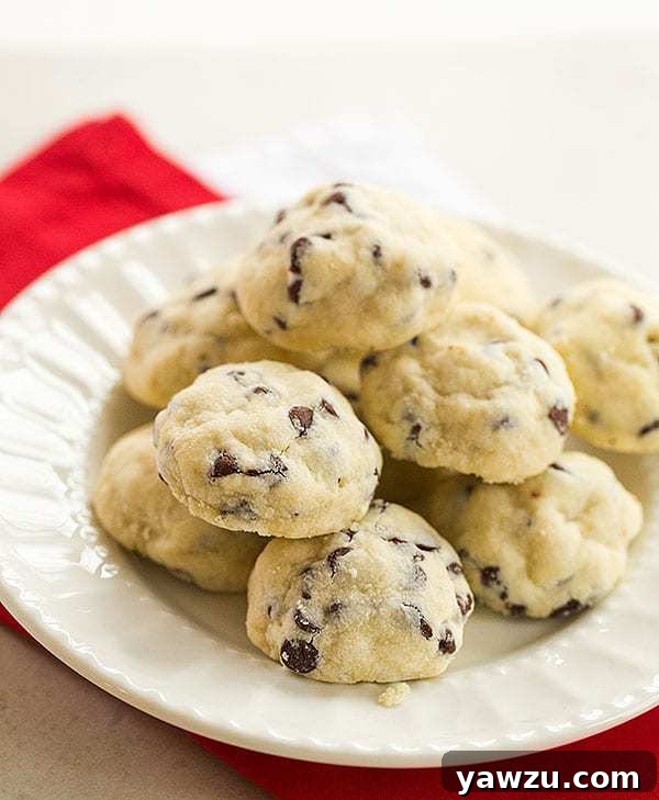 Chocolate Chip Tea Cookies - A super simple, buttery shortbread-style chocolate chip cookie, perfect for the holidays! | browneyedbaker.com