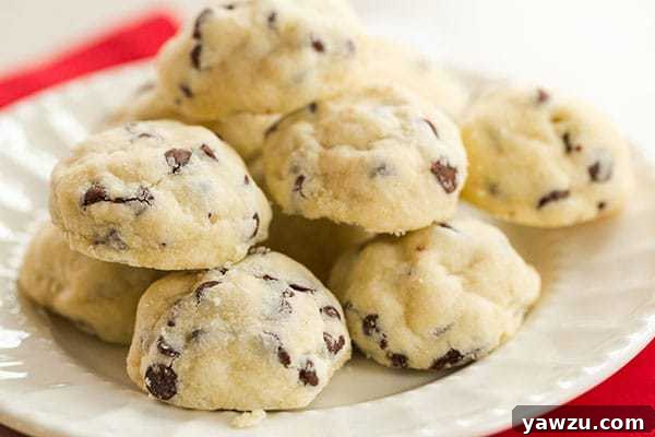 Chocolate Chip Tea Cookies - A super simple, buttery shortbread-style chocolate chip cookie, perfect for the holidays! | browneyedbaker.com