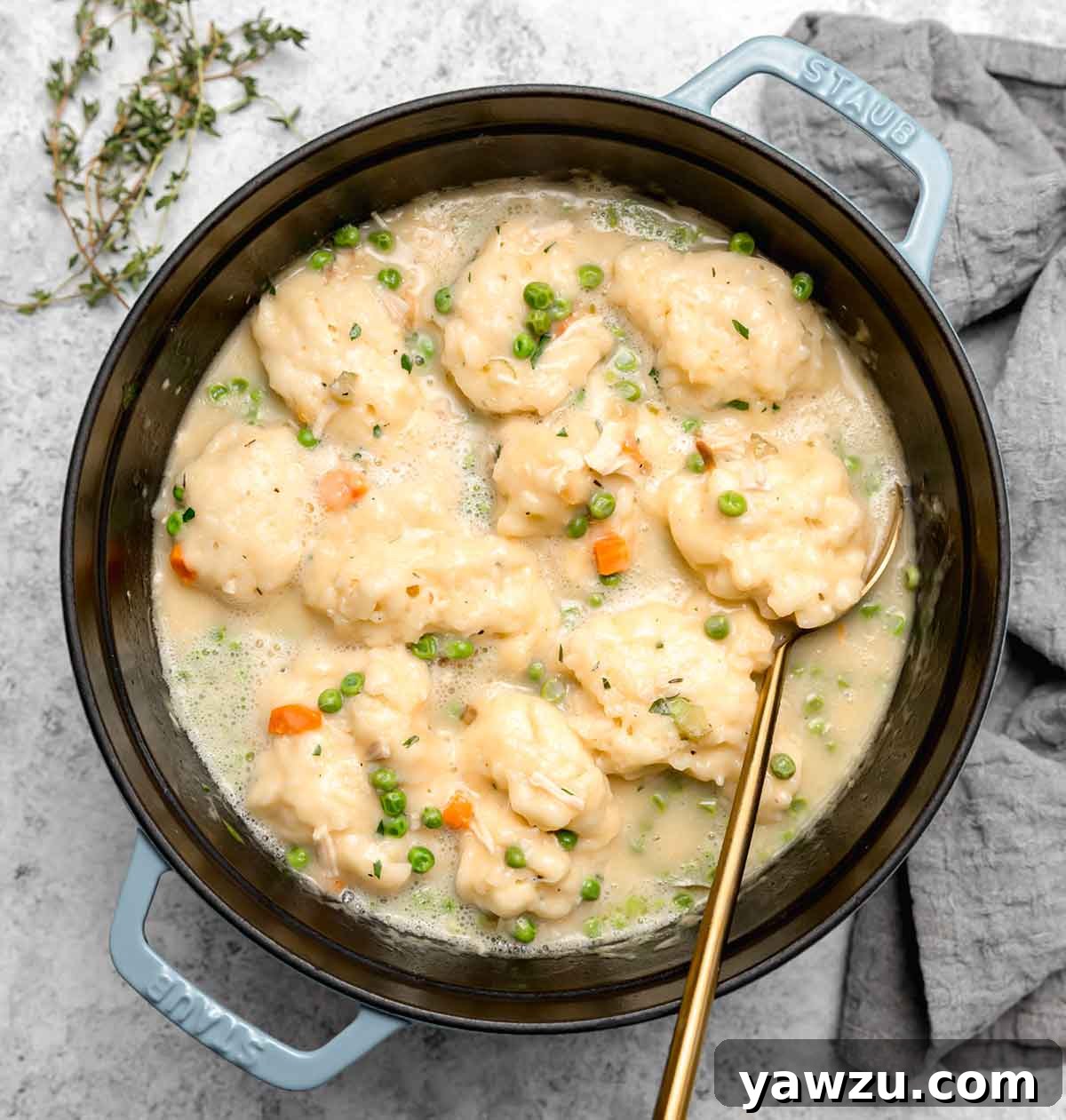 Overhead photo of a pot brimming with homemade chicken and dumplings, featuring tender chicken and fluffy dumplings in a rich broth.