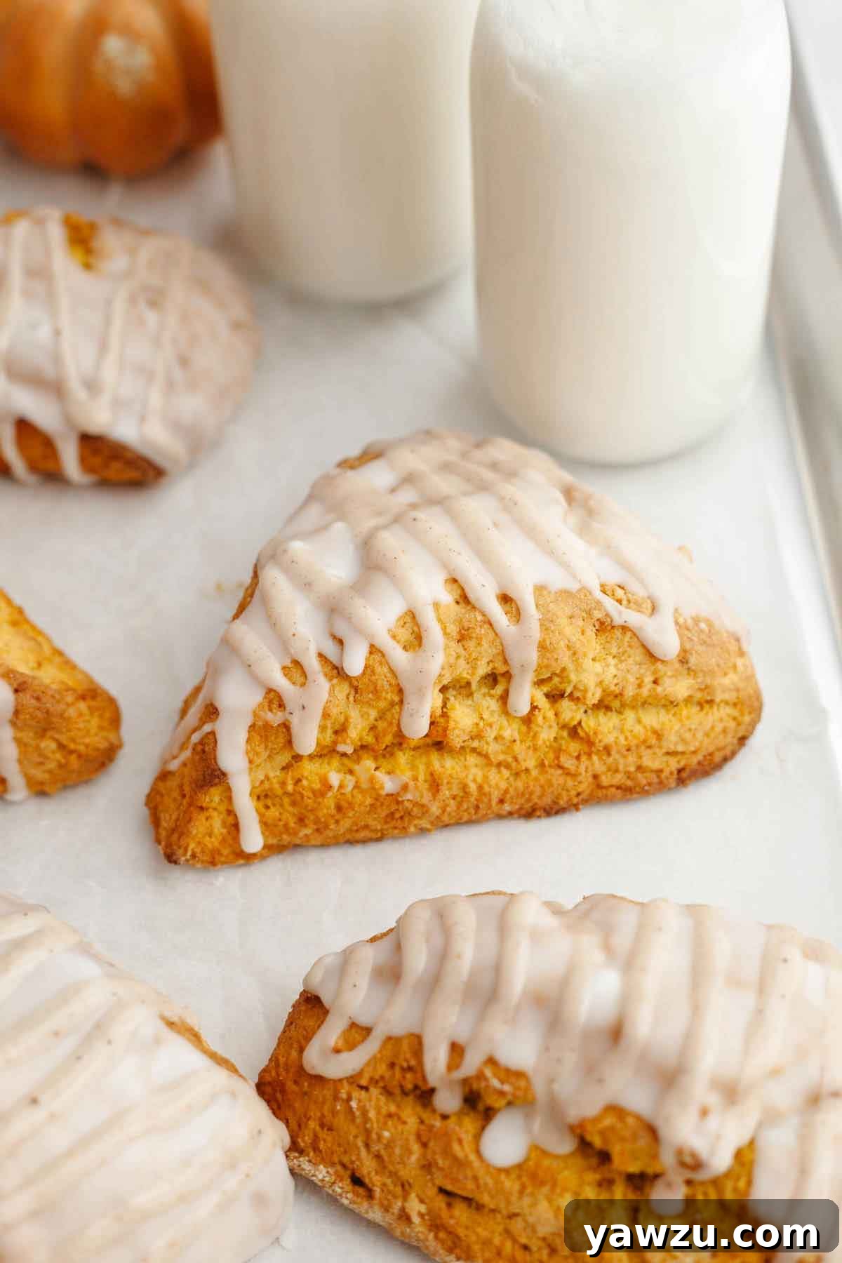 Glazed pumpkin scones on a parchment-lined baking sheet with bottles of milk in the background.