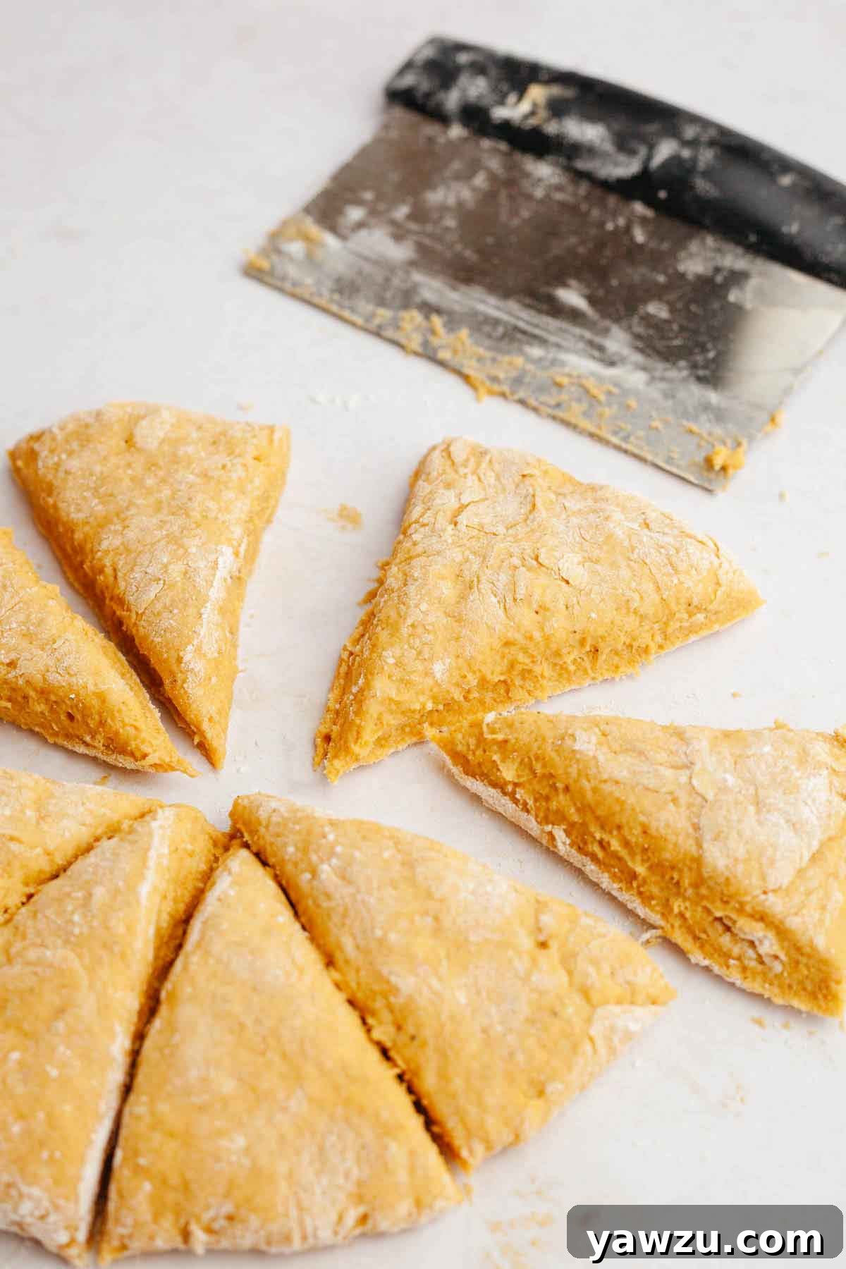 Dough for pumpkin scones cut into triangles. 