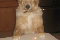 Einstein’s First Spin Around the Sun!