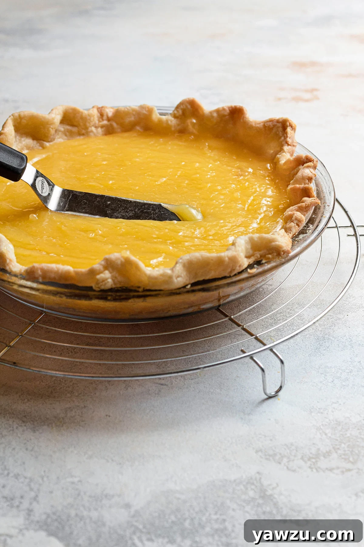 A close-up shot of the creamy lemon filling being smoothly spread into a golden-brown pie crust, ready for the meringue topping.