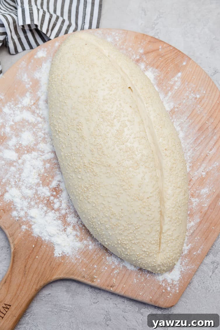 Loaf of Italian bread on a wooden peel before baking.