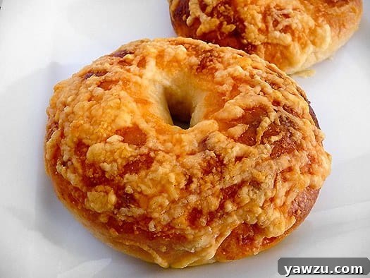 Two asiago bagels on a white plate, golden brown with melted cheese.