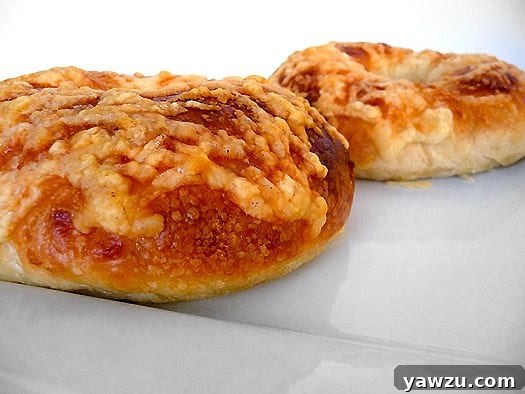 Two asiago bagels arranged on a white plate, ready to be enjoyed.