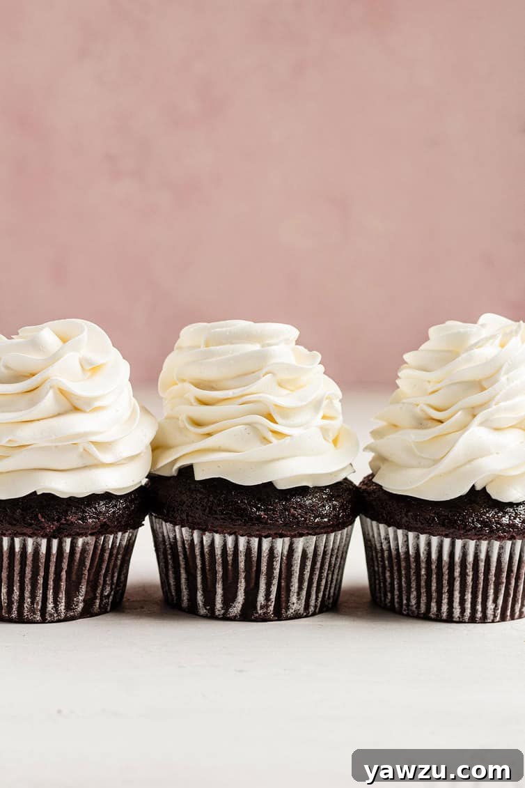 Three chocolate cupcakes with Swiss meringue buttercream piped on top.