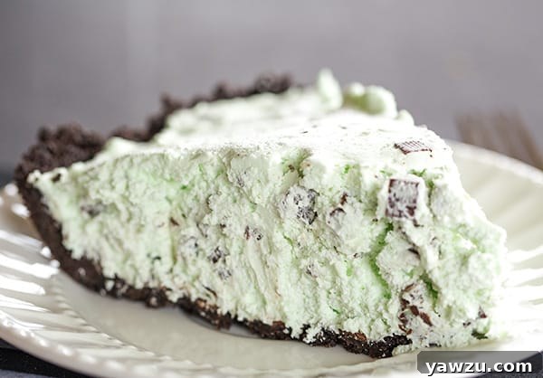 A perfect slice of No-Bake Mint Chocolate Chip Pie, showing its creamy green filling studded with chocolate chips, on a white plate.