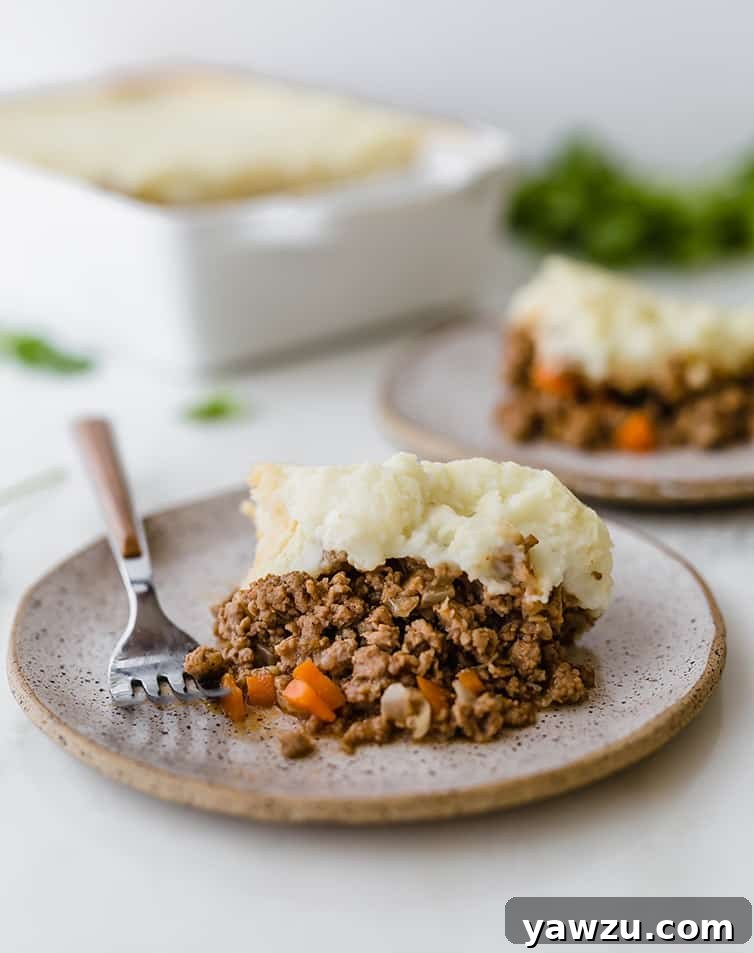 Two plates generously portioned with classic Shepherd's Pie, featuring a golden-brown mashed potato topping, with the full casserole dish in the soft background.